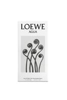 Loewe Agua Eau de toilette Spray 100 ml - thumbnail