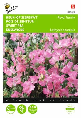 Lathyrus, Reuk- of siererwt Royal Family roze