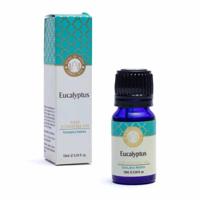 Song of India Etherische Olie Eucalyptus- 10ml - thumbnail