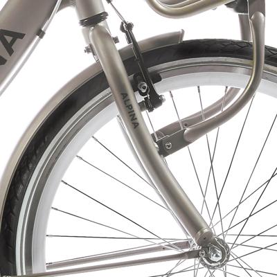 Alpina voorvork 26 clubb gold met matt