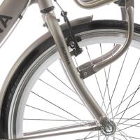 Alpina voorvork 26 clubb gold met matt - thumbnail