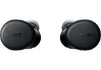Sony WF-XB700 draadloze Bluetooth-hoofdtelefoon, batterijduur van 18 uur en snel opladen en compatibel met spraakassistent, zwart - thumbnail