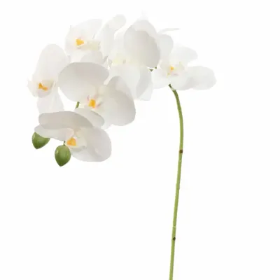 Pure Royal kunsttak phalaenopsis 60cm wit