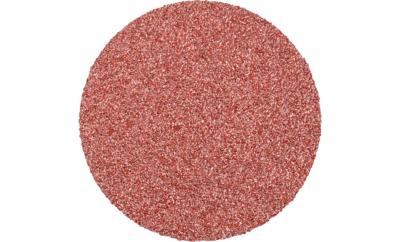 PFERD TOOLS CD 75 A 36 FORTE 42751703 Schuurblad Korrelgrootte (num) 36 (Ø) 75 mm 50 stuk(s)