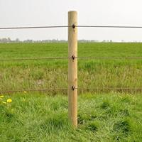 Gallagher Schroef-ringisolator BS hout klein (25) - 004089 004089 - thumbnail