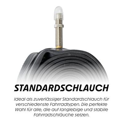 Schwalbe bnb sv19 27.5 x 2.00 29 x 2.40 fv 60mm
