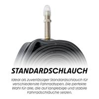SCHWALBE bnb sv19 27.5 x 2.00 29 x 2.40 fv 60mm - thumbnail