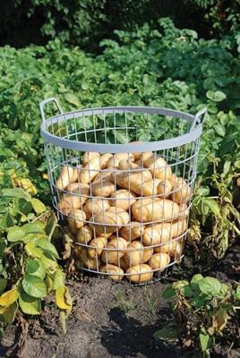 Esschert Design W2022 plantaccessoire