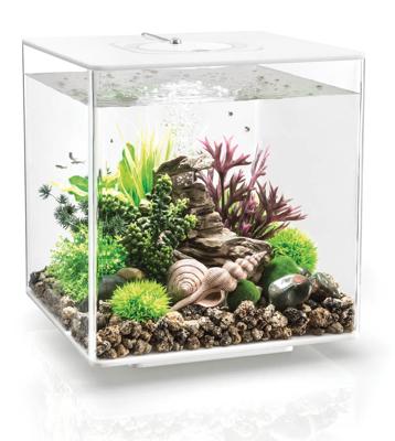 BiOrb Cube 30 MRC - Wit Aquarium BiOrb Cube 30 MRC - Wit Aquarium