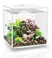 BiOrb Cube 30 MRC - Wit Aquarium - thumbnail