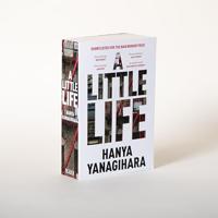 A Little Life - thumbnail