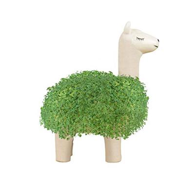 Lama bloempot met zaadjes Lama bloempot met zaadjes