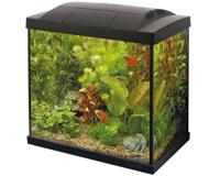 Superfish Start 50 tropical kit zwart - thumbnail