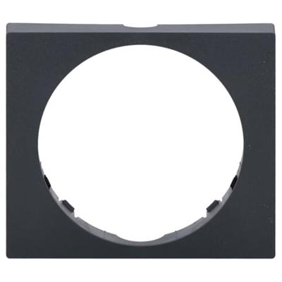 Busch-Jaeger 2CKA006800A3099 Frame