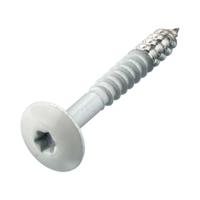 Hoenderdaal Hpl Schroef Rvs-A2 Torx TX20 Zuiver Wit Ral9010 4.8X38 | 100 stuks - 0346.30.37524 - thumbnail