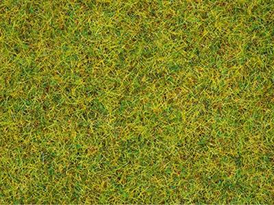 NOCH 8310 Strooigras Zomer weide Groen (gemiddeld) NOCH 8310 Strooigras Zomer weide Groen (gemiddeld)