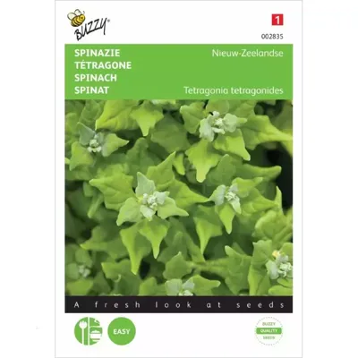 Spinazie Nieuw-Zeelandse Spinazie Nieuw-Zeelandse