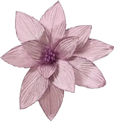 Poinsettia pesfluweel d30h15 cm lila Everlands - Everlands