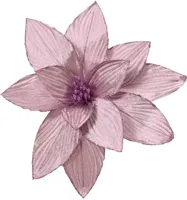 Poinsettia pesfluweel d30h15 cm lila Everlands - Everlands - thumbnail