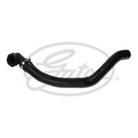 Radiateurslang 052713 - thumbnail