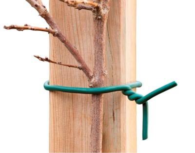 Rubberband groen met ijzeren kern dia. 3mmx10m Nature - Nature Rubberband groen met ijzeren kern dia. 3mmx10m Nature - Nature