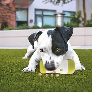 AFP Interactives - Treat Frenzy Roll