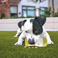 AFP Interactives - Treat Frenzy Roll - thumbnail