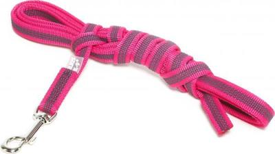 Lange lijn hond - Antislip - 20mm x 3m - Roze