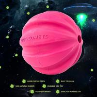 Dog Comets Ball Meteorite Roze - thumbnail
