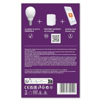 LEDVANCE 4058075729100 LED-lamp Energielabel F (A - G) E14 Kogel 4.9 W = 40 W Warmwit (Ø x h) 47 mm x 47 mm 1 stuk(s) - thumbnail