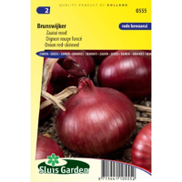 Uien zaden Brunswijker - thumbnail