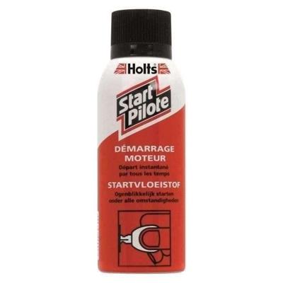Behandeling Holts HL 1831609 150 ml