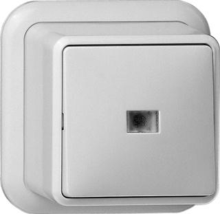 Gira 2-polige schakelaar opbouw met lampje creme