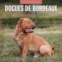 Bordeaux Dog Kalender 2026 - thumbnail