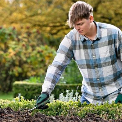 Bosch Home and Garden 06008B5500 Bloemenklauw Werkbreedte 71 mm