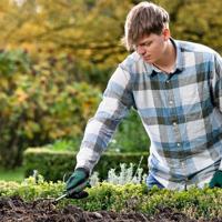 Bosch Home and Garden 06008B5500 Bloemenklauw Werkbreedte 71 mm - thumbnail