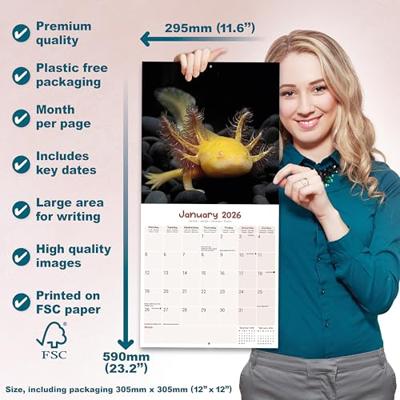 Axolotls Calendar 2026 Square Animal Wall Calendar - 16 Month