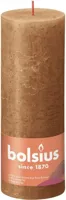 Bolsius Kaars 19x6,8 cm Spicy Bruin - thumbnail