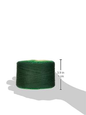 Scheepjes Whirl - 780 Key Lime Pi