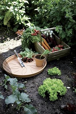 Elho green basics schotel 29 cm blad groen
