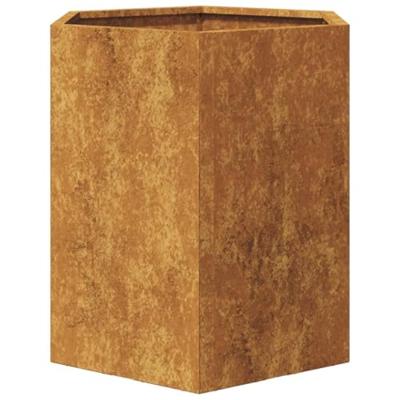 Plantenbakken 2 st zeshoek 46x40x45 cm weervast staal