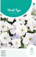 Zaden Petunia Sneeuwbal Hortitops - Hortitops - thumbnail