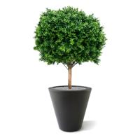 Buxus bol deluxe kunstplant 80cm - UV bestendig - thumbnail