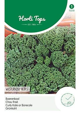 Zaden Boerenkool Westlandse Herfst laat type Hortitops - Hortitops