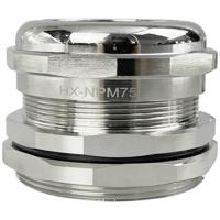 TRU COMPONENTS TC-10302864 Wartel M75 Messing (vernikkeld) Metaal 1 stuk(s) - thumbnail