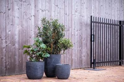 Capi plantenbak waste rib laag elegant 34x46 cm grijs