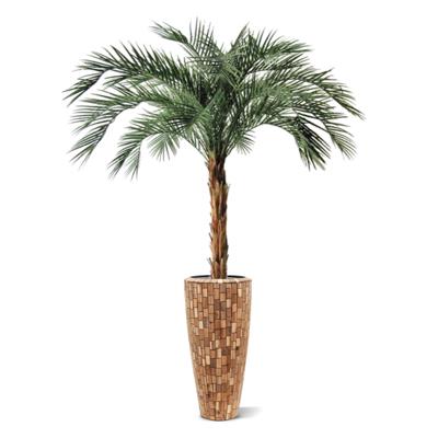 Phoenix kunstpalm OD deluxe 225cm