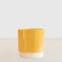 Londen Geel - P12 - thumbnail