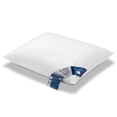 Vandyck Pure Nature driekamer hoofdkussen