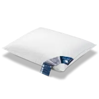 Vandyck Pure Nature driekamer hoofdkussen - thumbnail